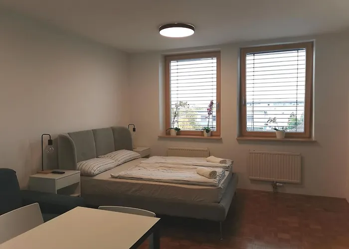 アパート Dunajska *