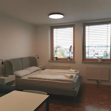 Apartment Dunajska *