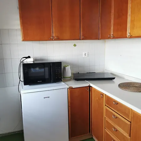 Dunajska 卢布尔雅那